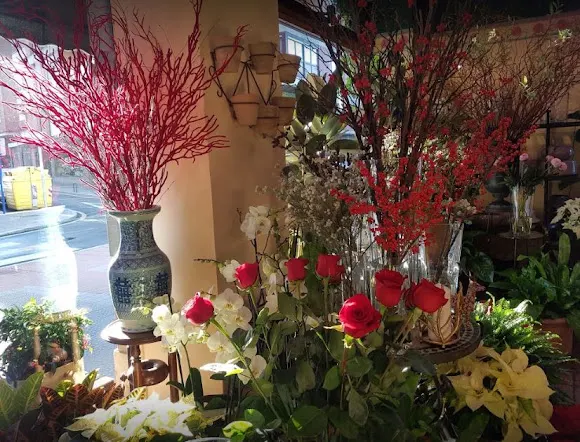 Floristería Arriluze - Portugalete