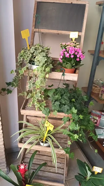 Floristería Pili - Almenara