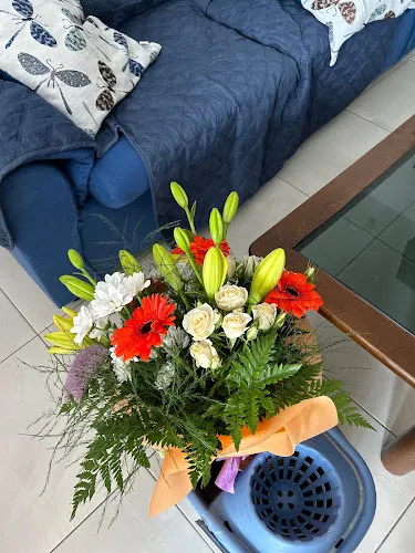 Floristería Feliu - Benicarló