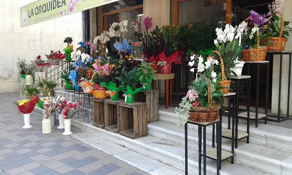 Floristeria La Orquídea Castellón - Castellón de la Plana