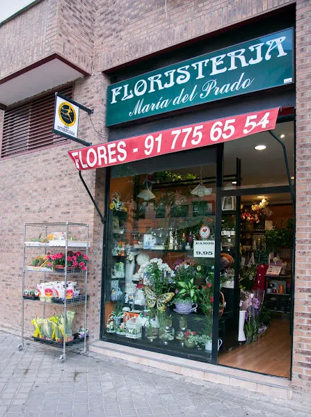 Flores Maria del Prado
