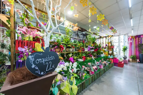 Floristería La Botiga de la Flor - Castellón de la Plana