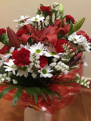 Floristeria Musgo Olivo - Malagon