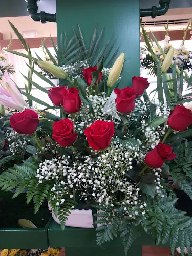 Floristería El Lazo - Miguelturra