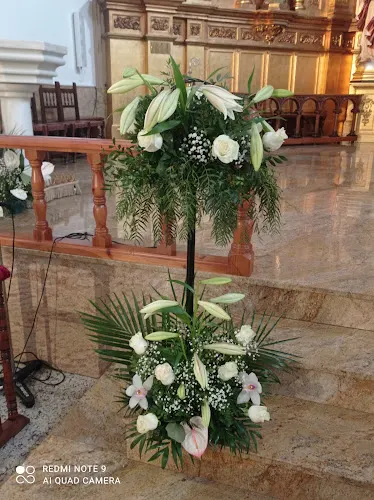 Floristería y Regalos Emi - Villarrubia de los Ojos