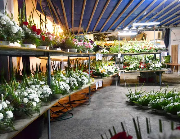 Floristería Tu Jardín - Miguelturra