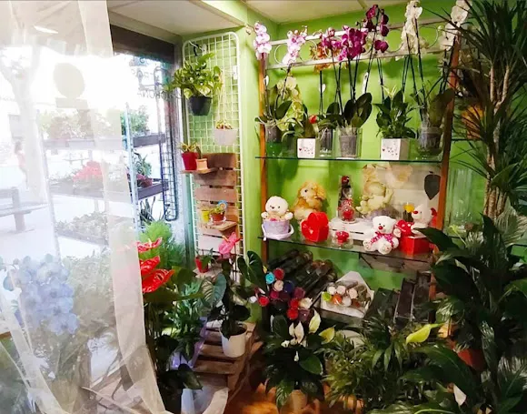 Floristería Tu Jardín - Miguelturra