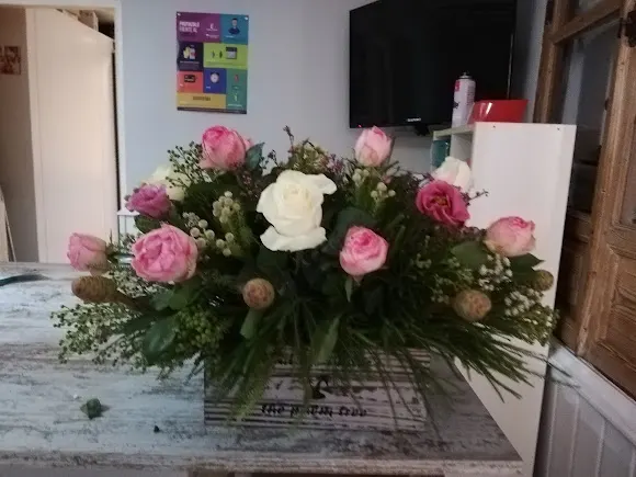 Floristería S. Antonio Saúl - Moral de Calatrava