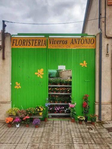 Floristería Viveros Antonio - Moral de Calatrava