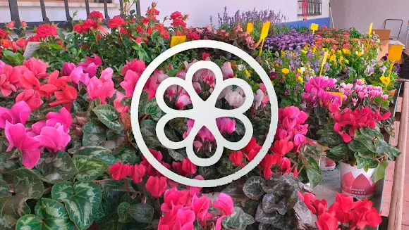 EDN Jardinería y Paisajismo - Campo de Criptana