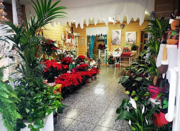 El Jardin de San Marcos - Valdemoro