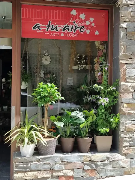 A Tu Aire. Arte Floral - Rute