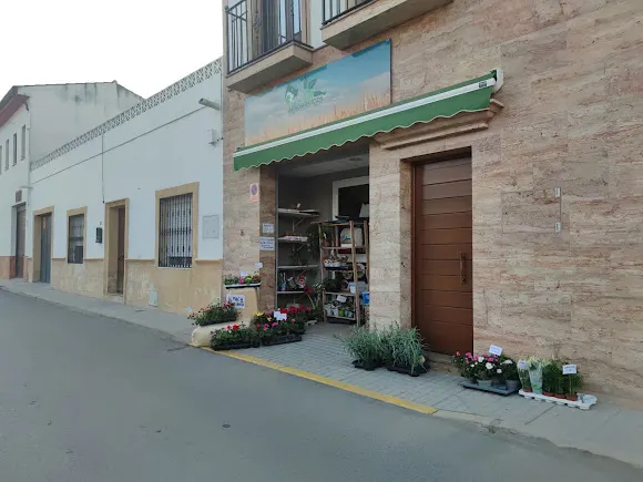 AGROSERVICIOS MORALES, PIENSOS, SEMILLAS Y CEREALES - Pedro Abad