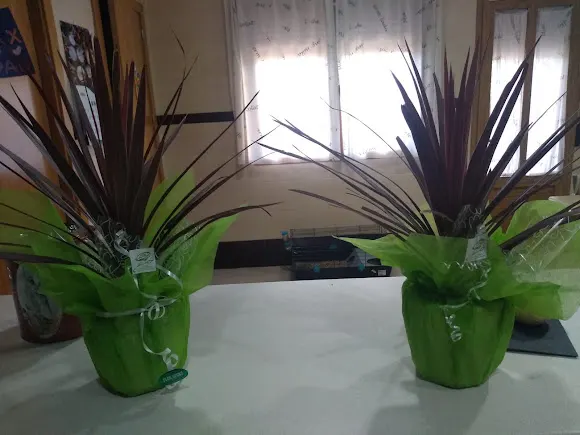 Floristería Flor Sport - Las Pedroneras
