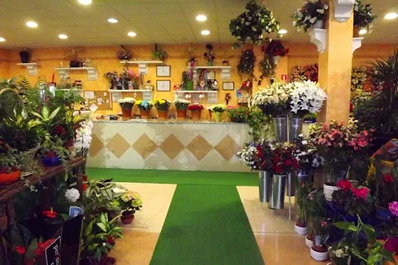 Floristería Victoria - Talavera de la Reina