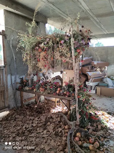 Floristería Aragón - Tarancón