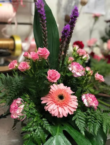 Flores Alme - Tarancón