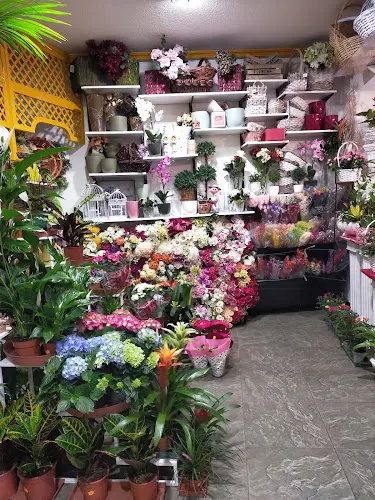 González Floristas - Valdemoro