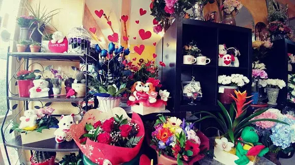 Floristería Hydra - Sacedon