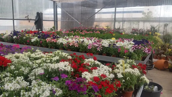 Altomira Garden - Almonacid de Zorita