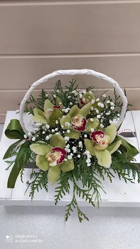 Floristeria Cal Ri - Llagostera