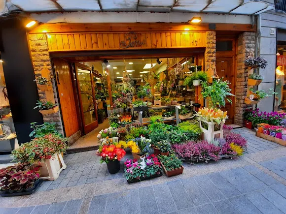 Floristeria Pons - Puigcerda