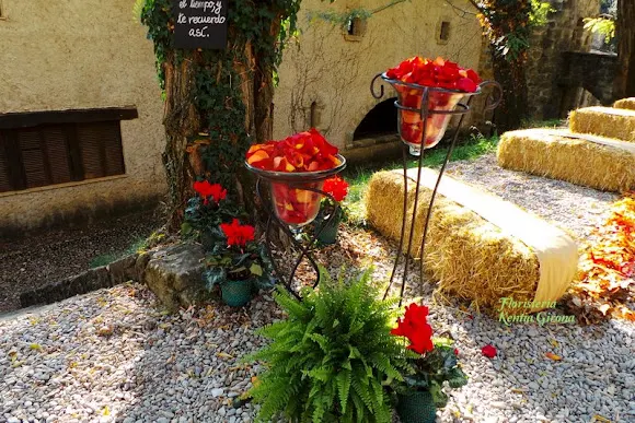 Floristería Kentia