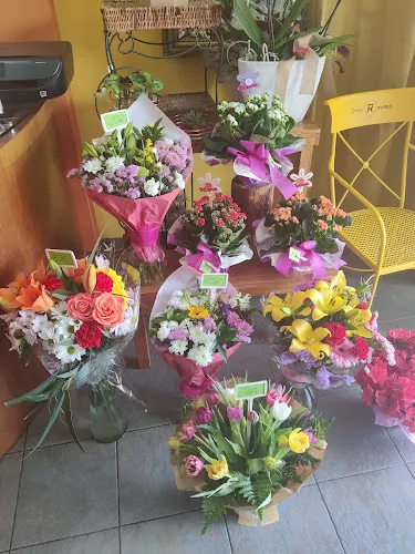 Flors Mateu - Roses