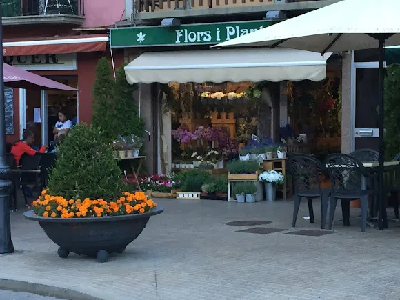 Floristería Joan - Puigcerda
