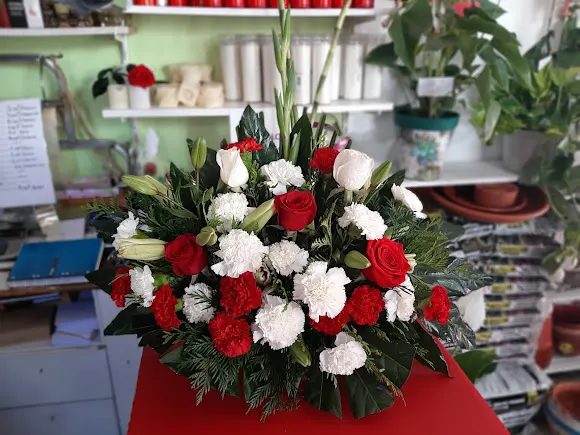 FLORISTERIA CARMEN