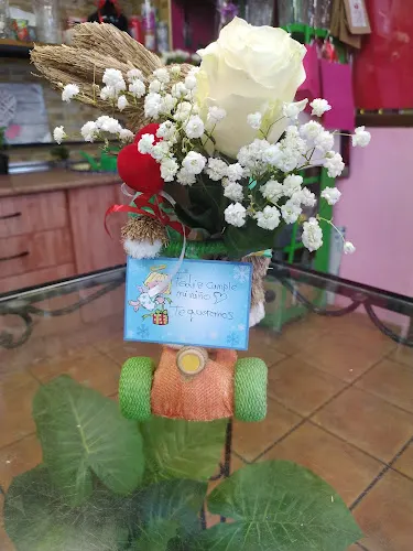 Floristeria, decoracion, plantas y arte floral VIOLETA - Illora