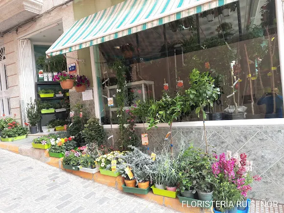Floristería Pajareria Ruiseñor - Loja