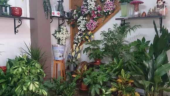 Floristería Orgiva - Orgiva