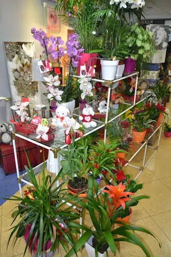 Floristería LIRIO - Huelma