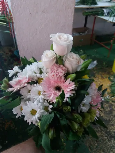 Jovi Flor Floristerías
