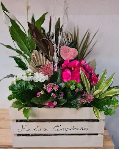 Armiflor
