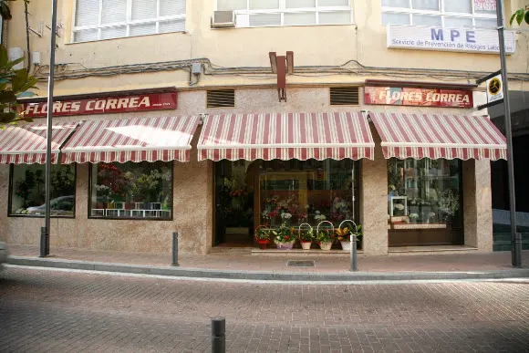FLORISTERÍA CORREA - Motril
