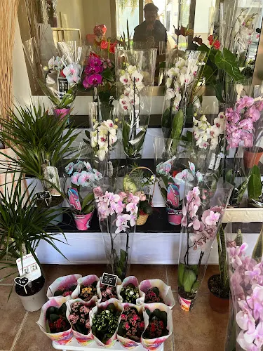 Floristeria Santaella - Motril