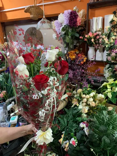 Flores Mundi - Motril
