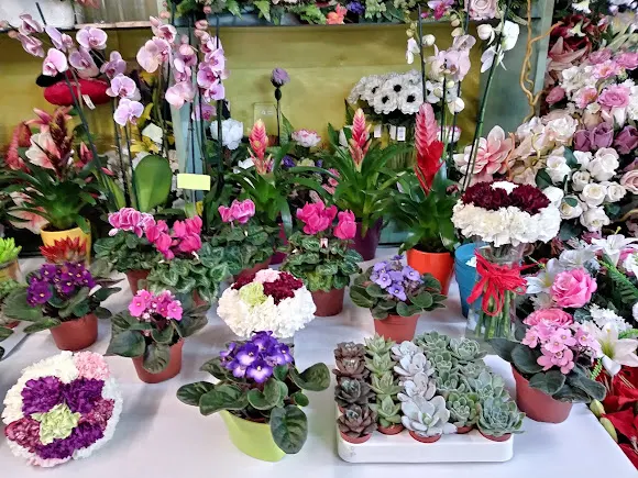 Floristería El Rocío - Molina de Aragon