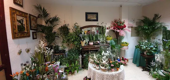 Hierba de Nácar - Guadalajara