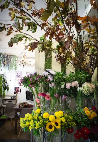 Floristería Atrezo Granada