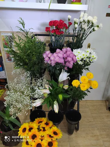 Floristería + Que Flóres Pioz Guadalajara - Pioz