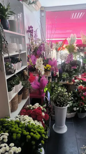 Ikebana Floristería - Guadalajara