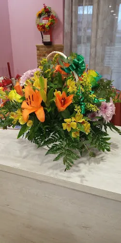 Floristería Orquidea's - Alovera