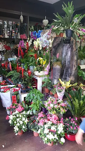 Floristería Amapola - Guadalajara