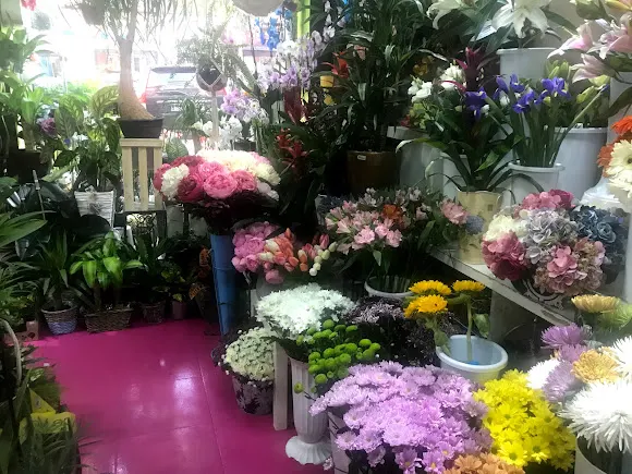 Floristeria Coquiflo