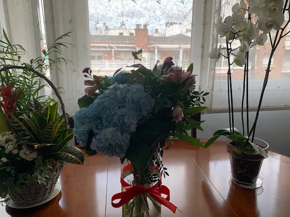 Mon Parnasse Flores - Alberto de Alcocer