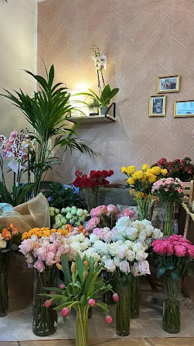Floristería zinnias - Brihuega