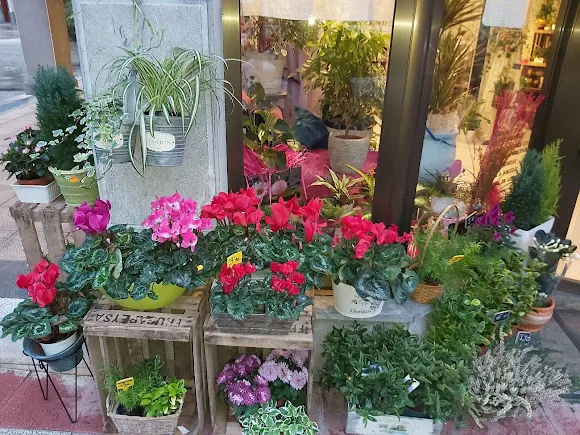 Floristería Edurne - Urnieta